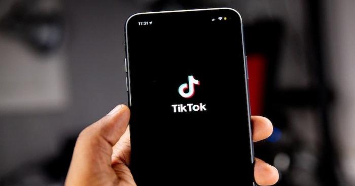 Snaptik Mempermudah Proses Download TikTok Cukup dengan Link